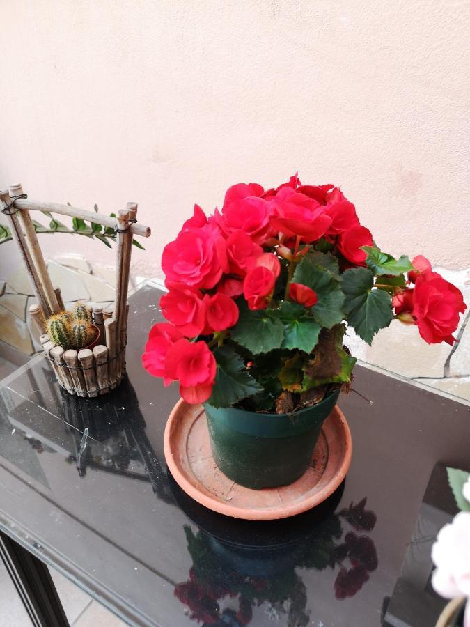 קטאניה B&B Casa Valeria מראה חיצוני תמונה