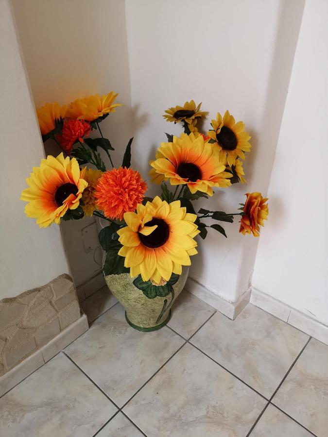 קטאניה B&B Casa Valeria מראה חיצוני תמונה