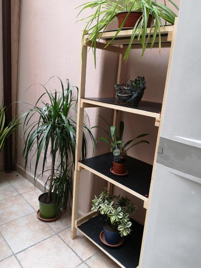 קטאניה B&B Casa Valeria מראה חיצוני תמונה