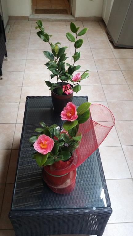 קטאניה B&B Casa Valeria חדר תמונה